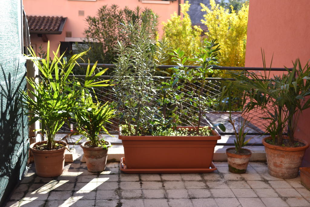 Apartamento Da Emi E Giuly